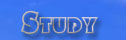 STUDY