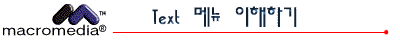 Text ޴ ϱ